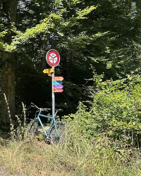 waldweg